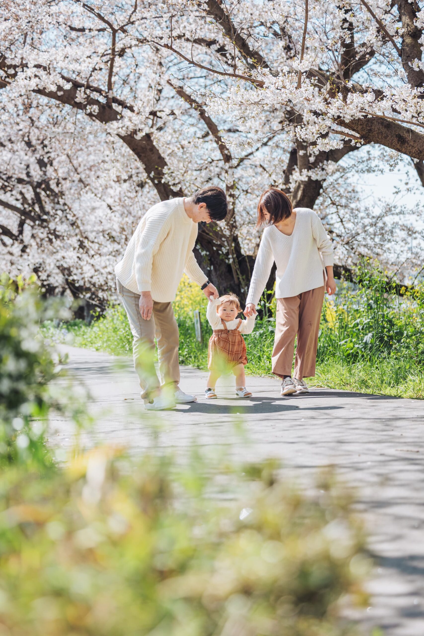 北越谷元荒川の桜並木で撮影した春のファミリー写真