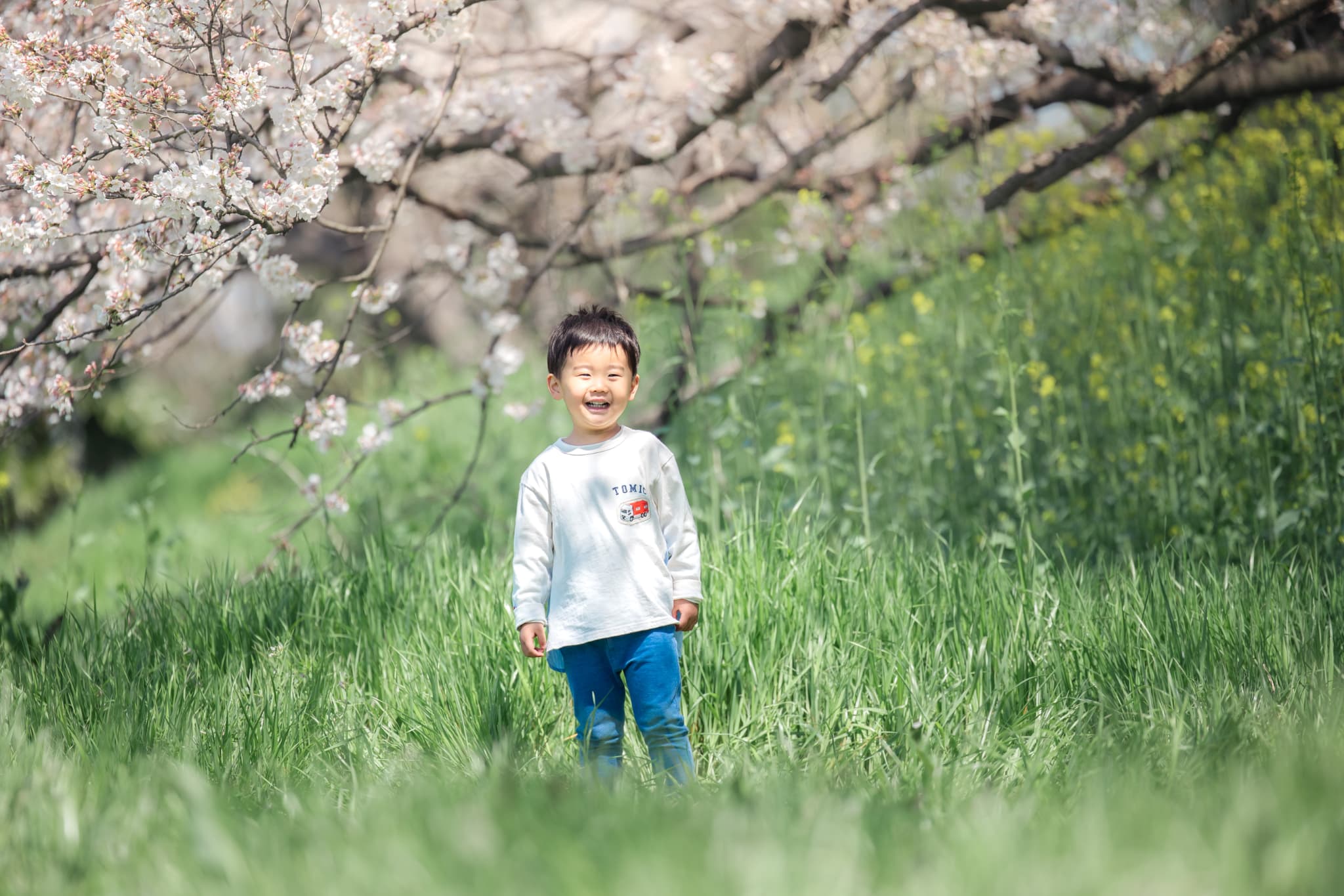 北越谷元荒川の桜並木でカジュアルに残す私服写真