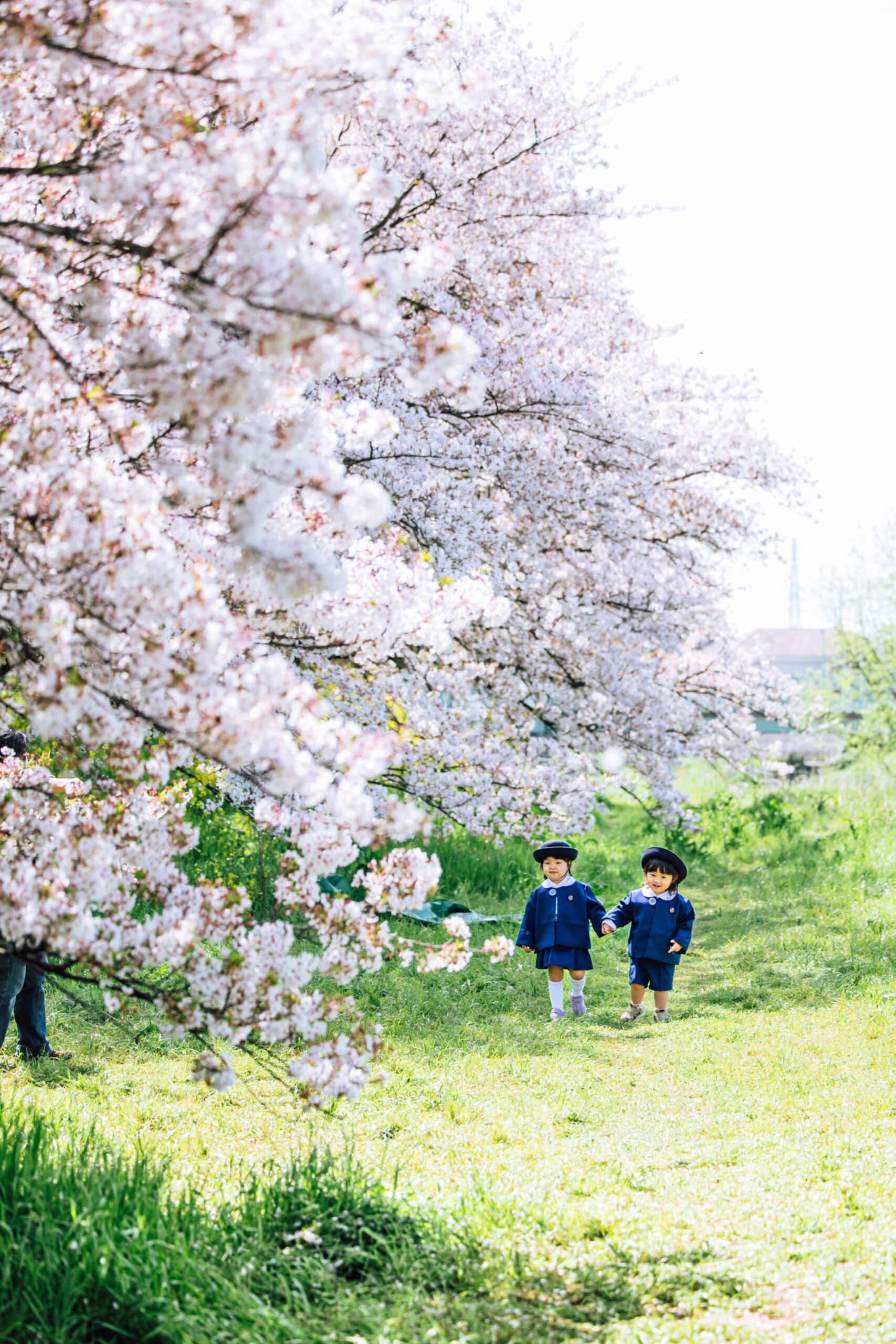 北越谷・元荒川の桜並木で卒園・入学シーズンに撮影した子どもの記念写真