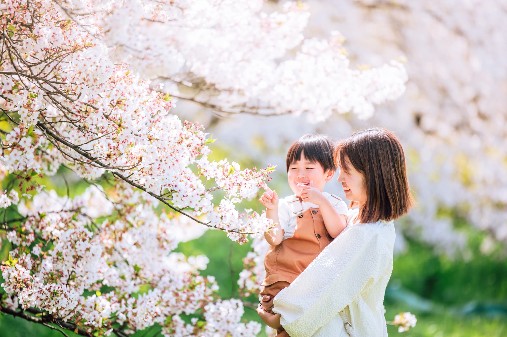 北越谷元荒川の桜並木で撮影した春のファミリー写真
