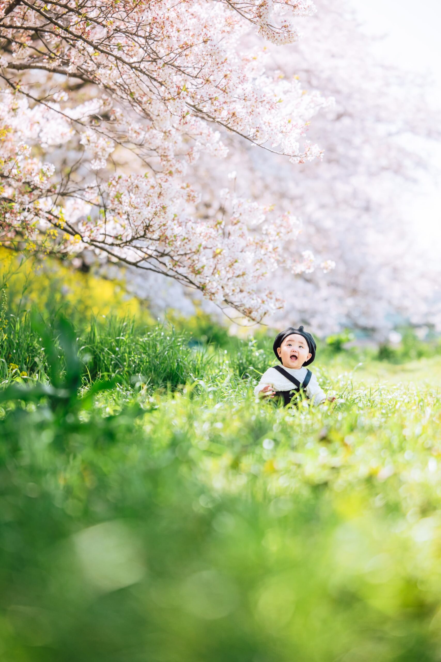 北越谷元荒川の桜並木なら赤ちゃんのソロ写真も撮れる