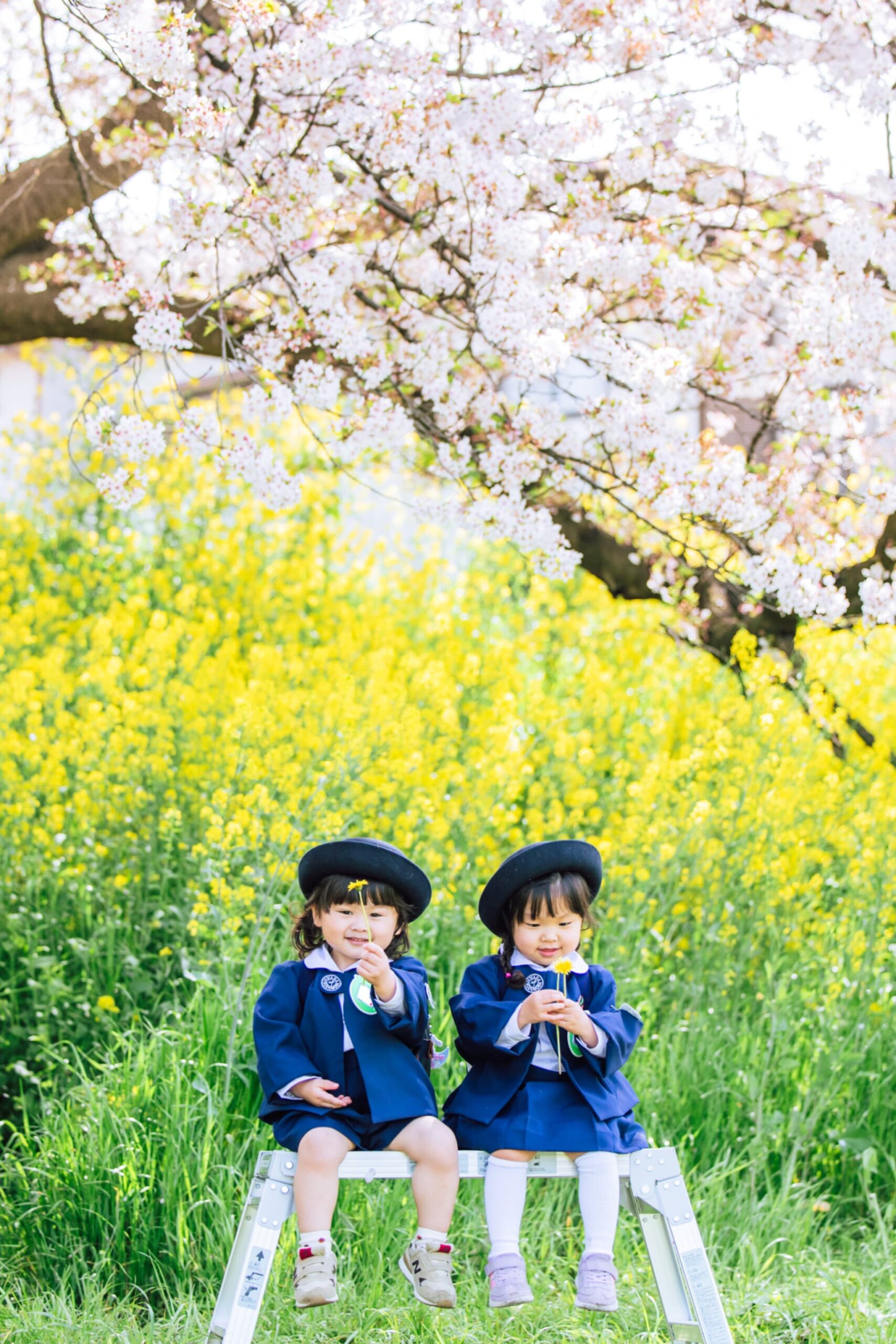 北越谷・元荒川の桜並木で卒園・入学シーズンに撮影した子どもの記念写真